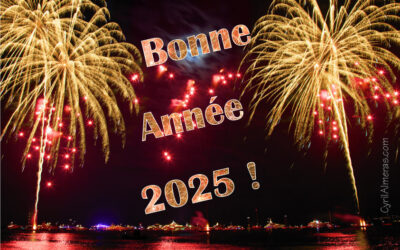 Bonne année 2025